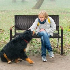 Tangkula Patio Furniture Weather-Resistant Rattan Bench Wicker Loveseat Steel Frame For Yard Garden Poolside