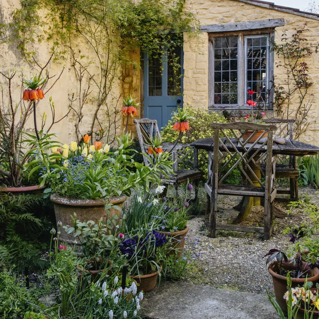 Front Page -Beauty house undefined 4